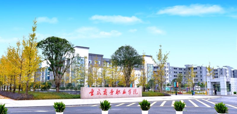 供应链服务：构筑企业成长的快车道