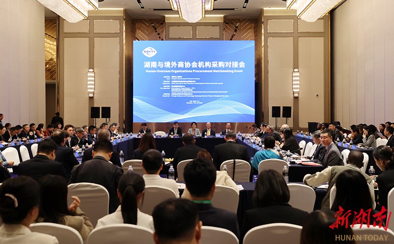 商品批发：趋势解读与策略分析